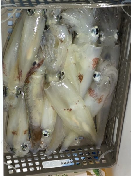 海龍丸（石川） 釣果