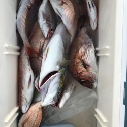 第二八坂丸 釣果