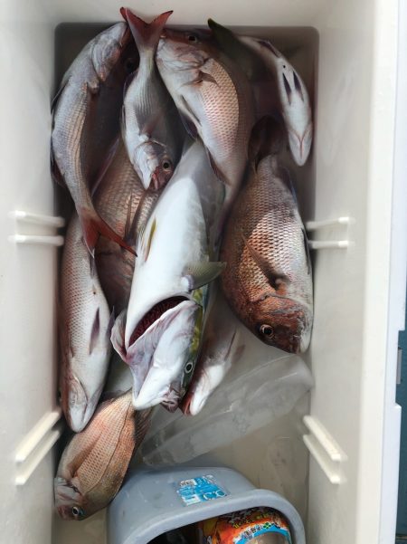 第二八坂丸 釣果