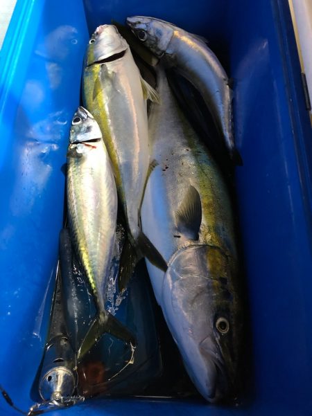 第二八坂丸 釣果