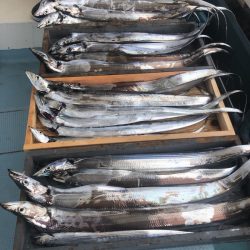 岡田釣船　八英丸 釣果