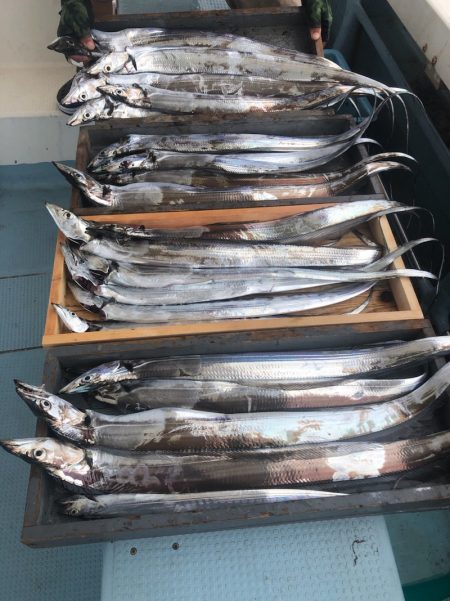 岡田釣船　八英丸 釣果