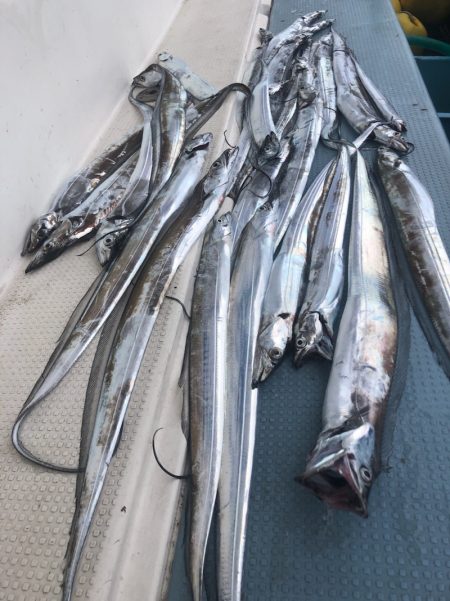 岡田釣船　八英丸 釣果