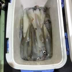 海龍丸（石川） 釣果