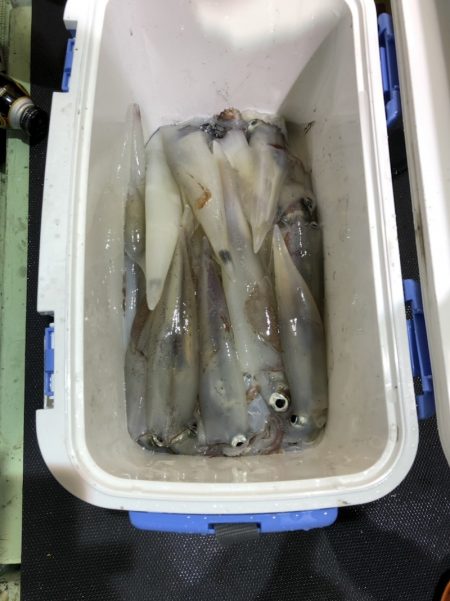 海龍丸（石川） 釣果