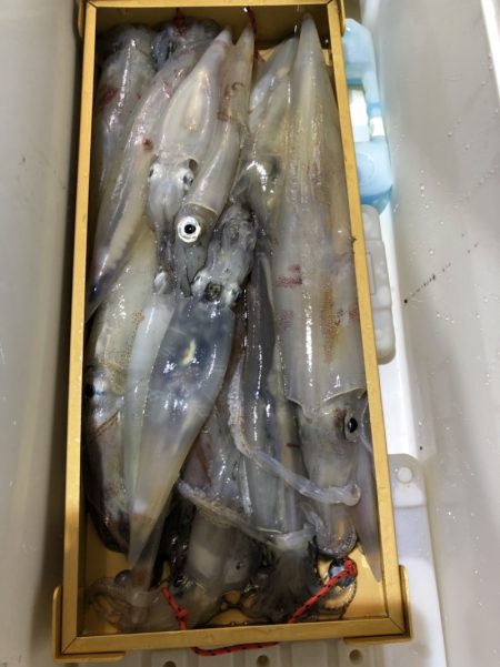 海龍丸（石川） 釣果