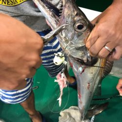 「LaGooN」蒼陽丸 日和号 釣果
