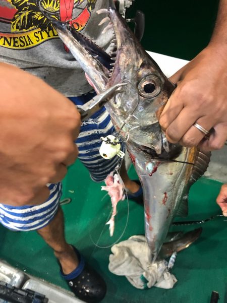 「LaGooN」蒼陽丸 日和号 釣果
