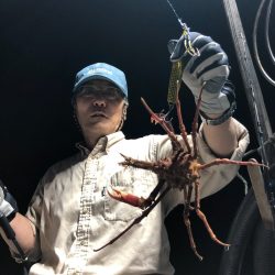 「LaGooN」蒼陽丸 日和号 釣果