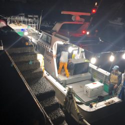 「LaGooN」蒼陽丸 日和号 釣果