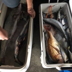 「LaGooN」蒼陽丸 日和号 釣果