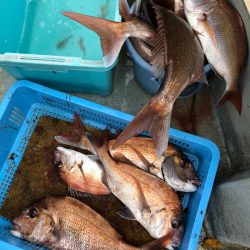 フィッシング キッタカ 釣果