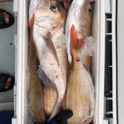 フィッシング キッタカ 釣果