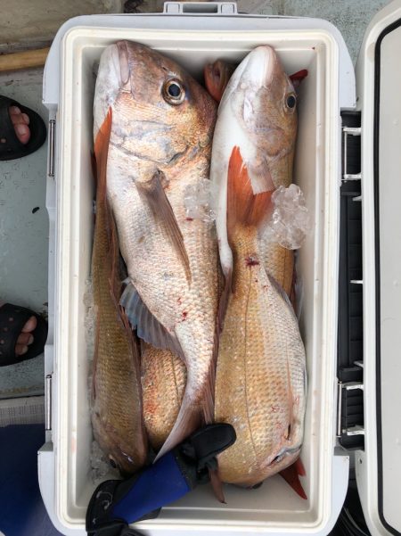 フィッシング キッタカ 釣果