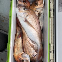 フィッシング キッタカ 釣果