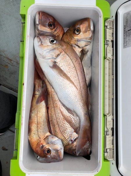 フィッシング キッタカ 釣果