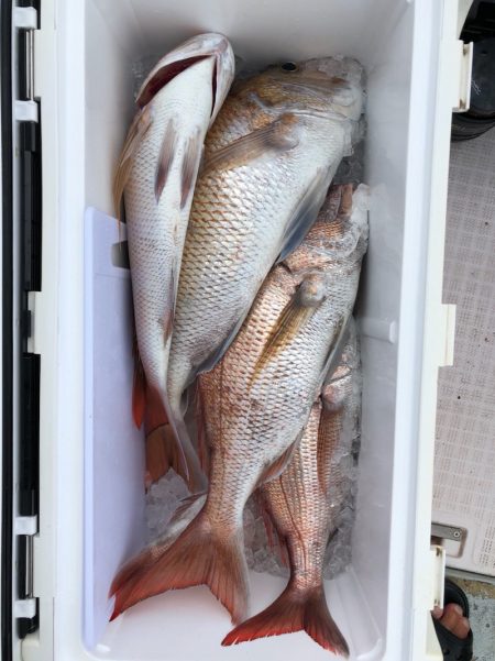 フィッシング キッタカ 釣果