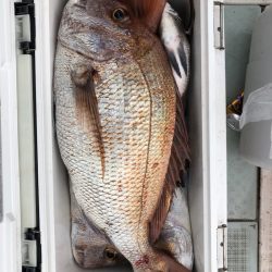 フィッシング キッタカ 釣果