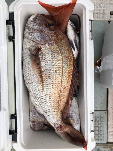 フィッシング キッタカ 釣果