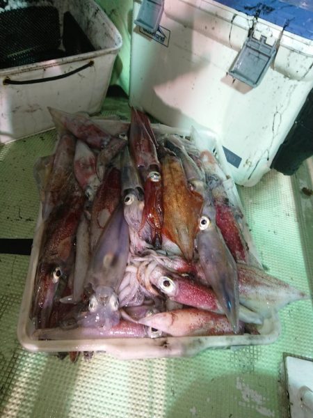 海龍丸（石川） 釣果