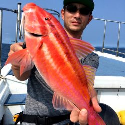 渡船屋たにぐち 釣果