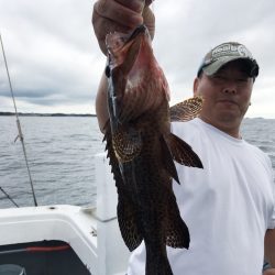 渡船屋たにぐち 釣果