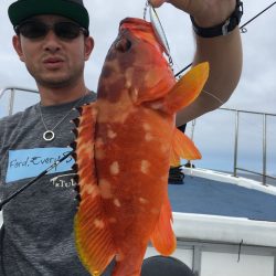 渡船屋たにぐち 釣果