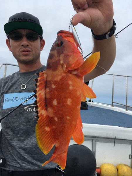 渡船屋たにぐち 釣果