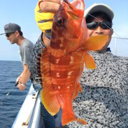 渡船屋たにぐち 釣果