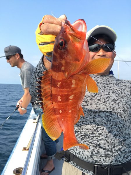 渡船屋たにぐち 釣果