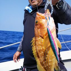 光生丸 釣果