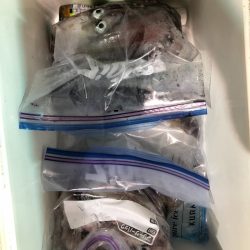 海龍丸（石川） 釣果