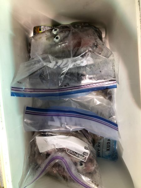 海龍丸（石川） 釣果