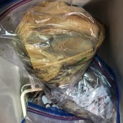 海龍丸（石川） 釣果