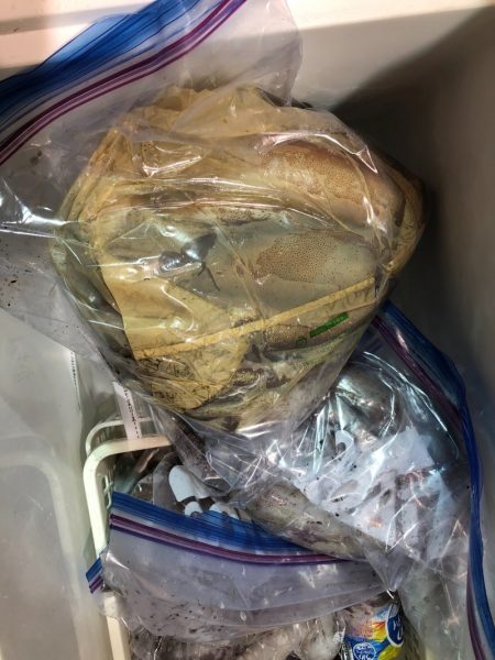 海龍丸（石川） 釣果