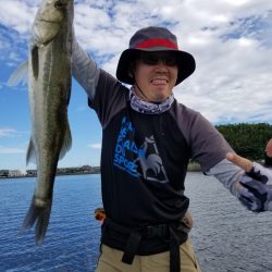 アマテラス 釣果