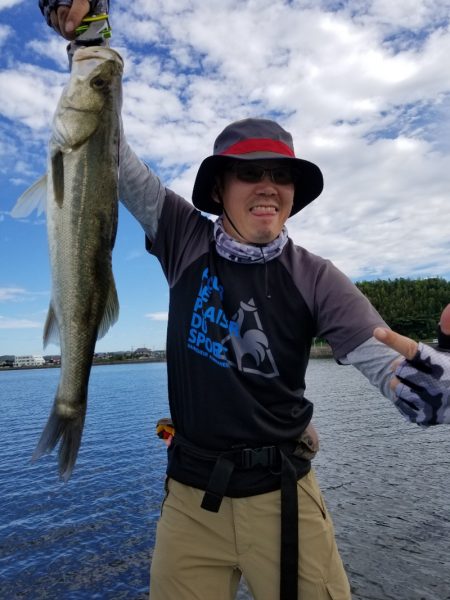 アマテラス 釣果