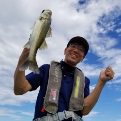 アマテラス 釣果