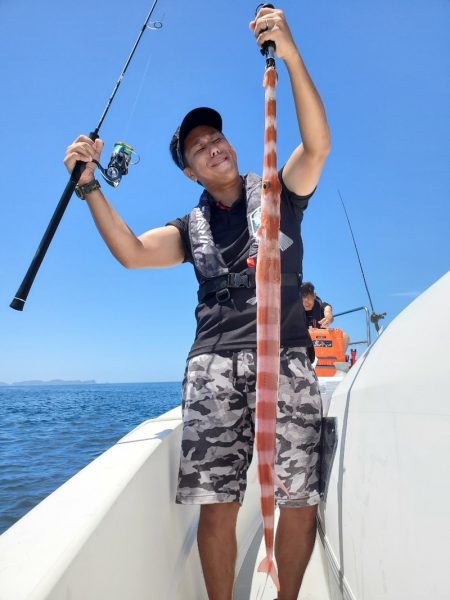 ソルトウォーターガイドフレンズ 釣果