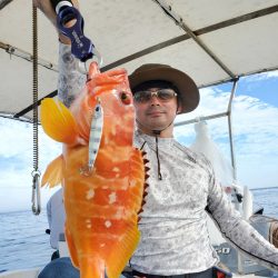 ソルトウォーターガイドフレンズ 釣果