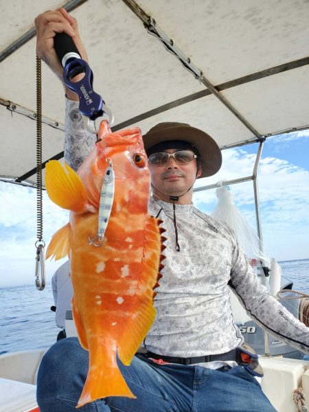 ソルトウォーターガイドフレンズ 釣果