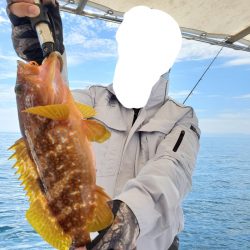 ソルトウォーターガイドフレンズ 釣果