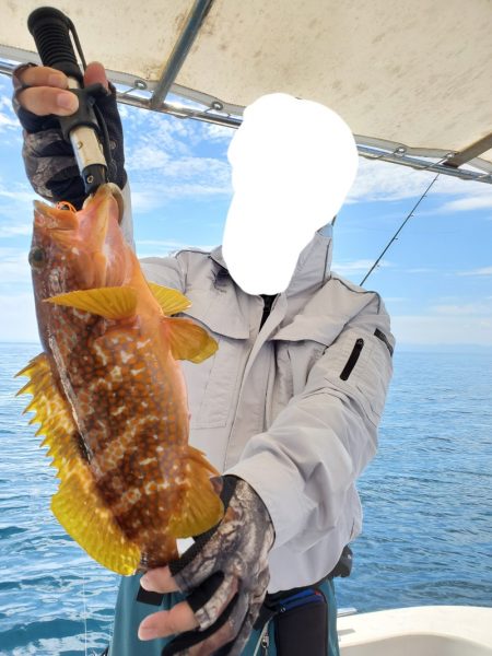 ソルトウォーターガイドフレンズ 釣果