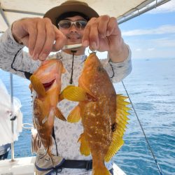 ソルトウォーターガイドフレンズ 釣果