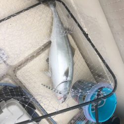 海友丸 釣果