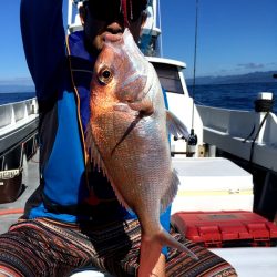 渡船屋たにぐち 釣果