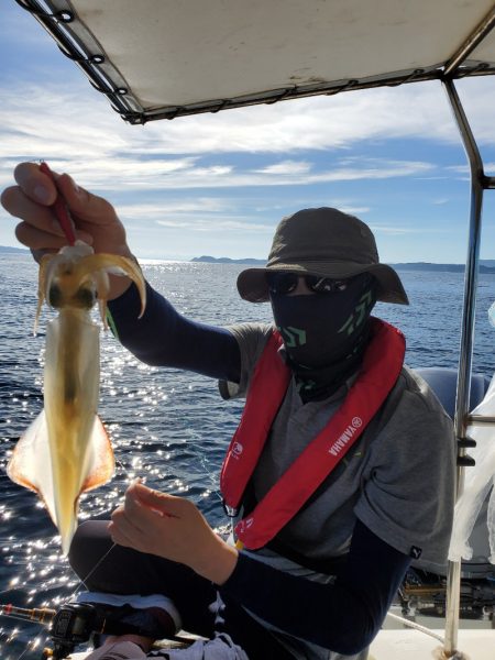 ソルトウォーターガイドフレンズ 釣果