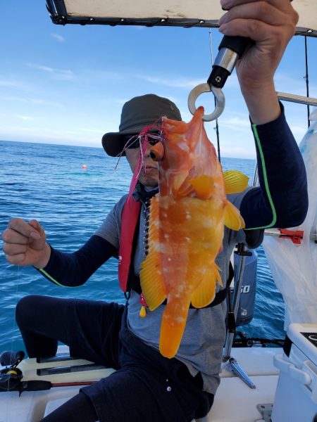 ソルトウォーターガイドフレンズ 釣果