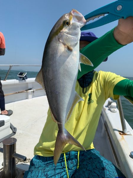 ランスルー 釣果