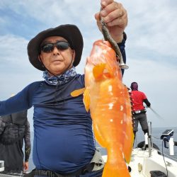 ソルトウォーターガイドフレンズ 釣果